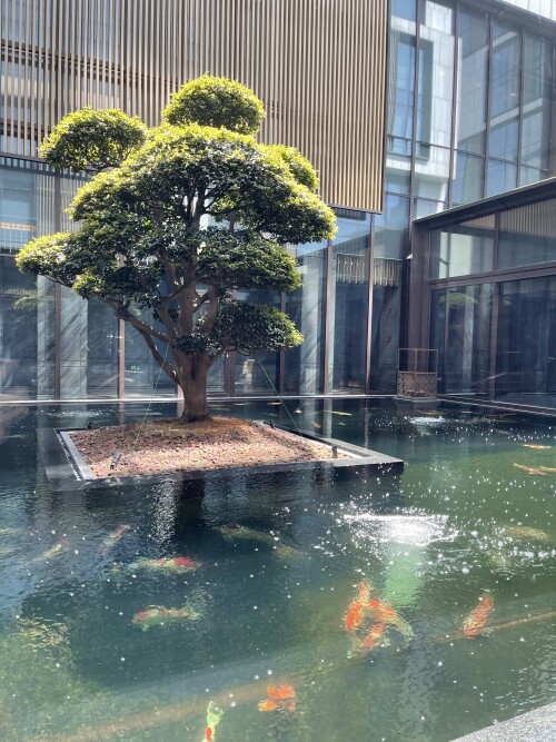 01-water-courtyard.jpg