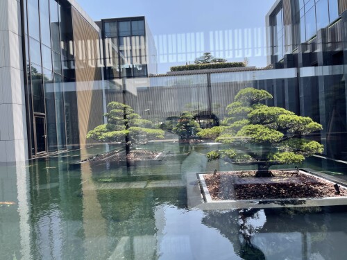 02-water-courtyard-wide.jpg