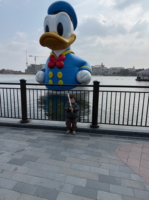 11-disney-donald.jpg