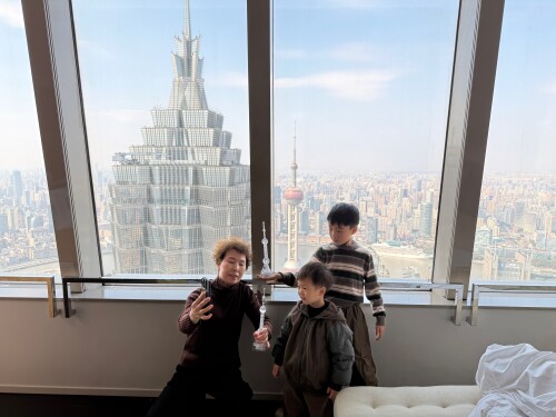 15-park-hyatt-family-view.jpg