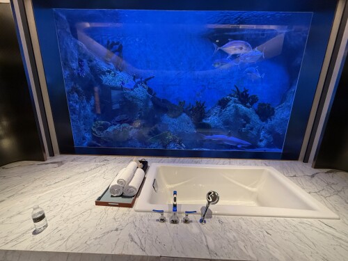 23-underwater-suite-bathtub.jpg