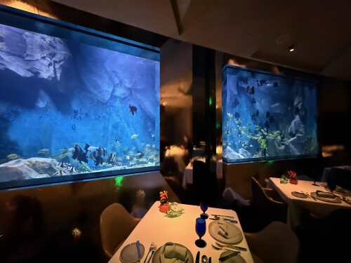 26-underwater-restaurant.jpg