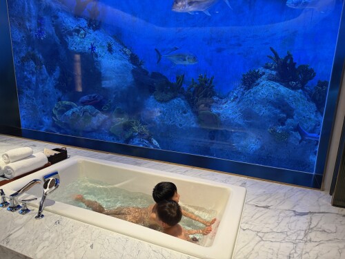 28-bathtub-aquarium.jpg