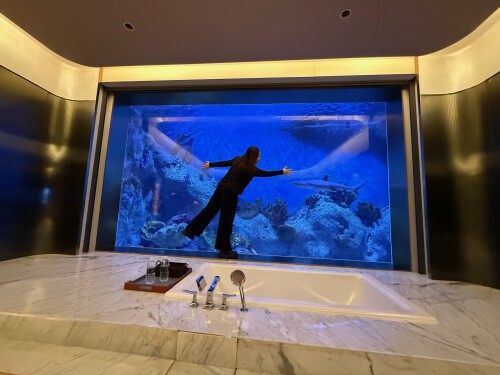 30-bathtub-window.jpg