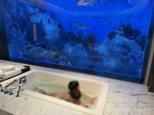 28-bathtub-aquarium-privacy.jpg