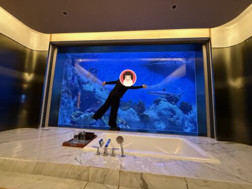 30-bathtub-window-privacy.jpg
