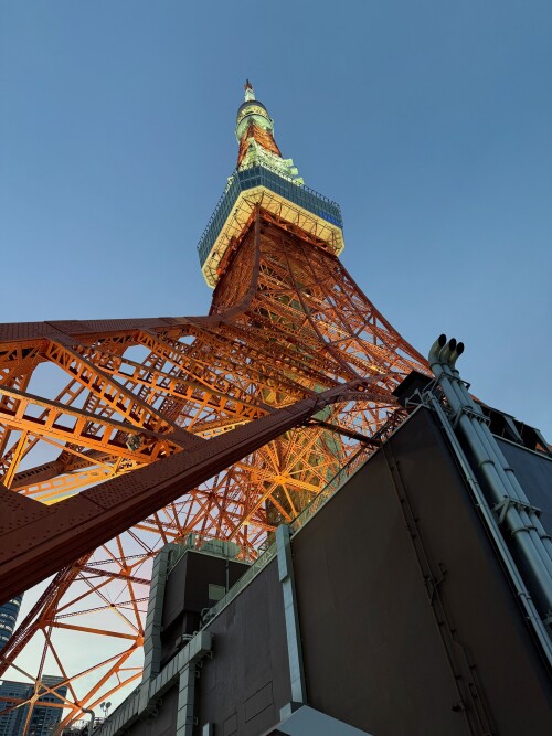 12-tokyo-tower.jpg