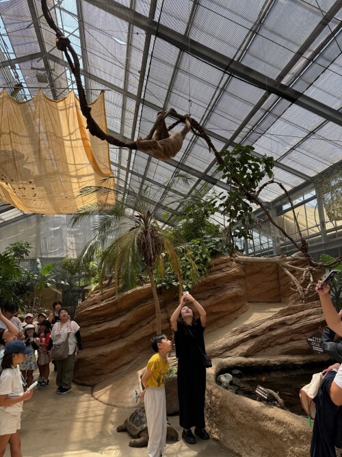 33-kobe-animal-kingdom.jpg